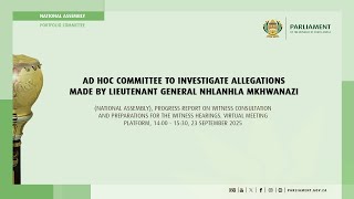 ad hoc committee
