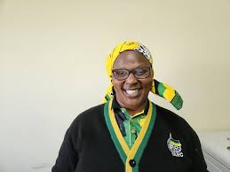 The Role and Challenges of ANC Councillors image 1