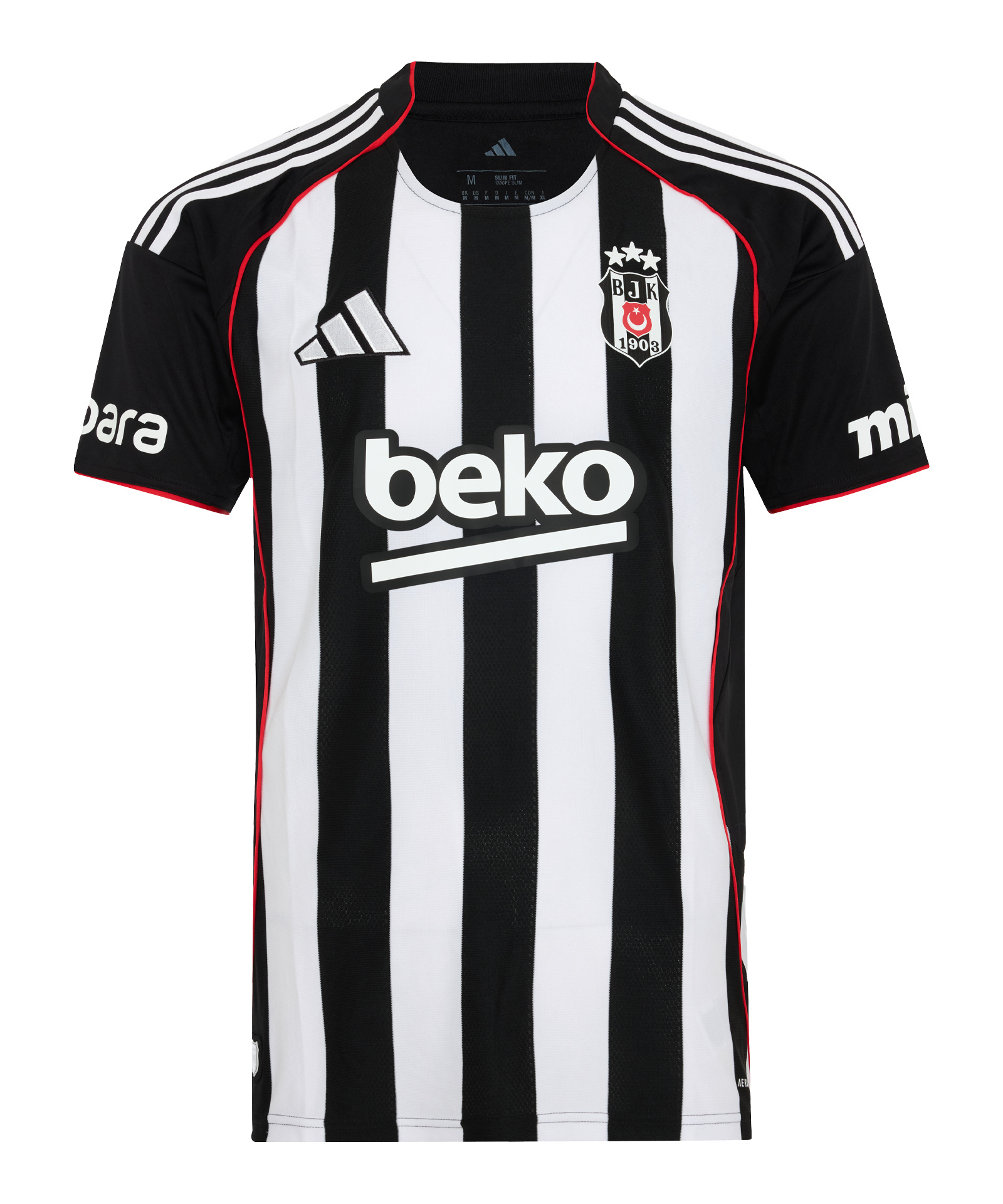 Exploring the Legacy and Future of Besiktas Football Club image 1