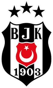 The Rise and Legacy of Besiktas FC image 1