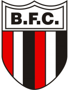 Botafogo FC SP: A Deep Dive into the Club’s Legacy and Future