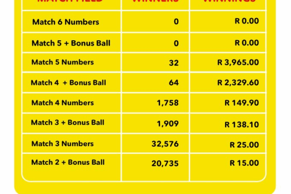 Understanding the Daily Lotto Plus in South Africa image 1