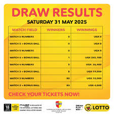 Daily Lotto Results for Today: Are You a Winner?
