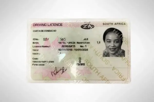 Challenges of the Driving Licence Backlog in South Africa image 1