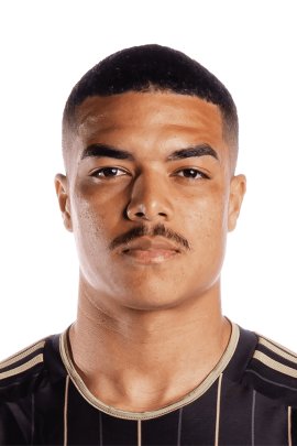 The Rise of Igor Jesus: A Young Soccer Sensation