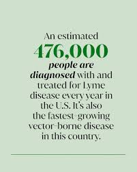 Rising Awareness of Lyme Disease in South Africa image 1