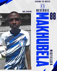 Magesi FC: A Rising Force in South African Football