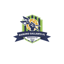 An Overview of Marumo Gallants FC: Rising Stars of South African Football