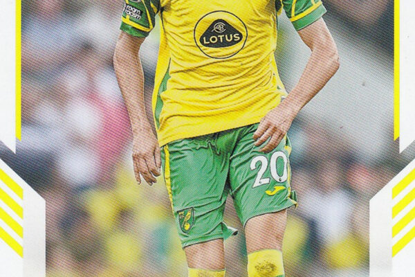 Norwich City: A Look at the Team’s Recent Developments