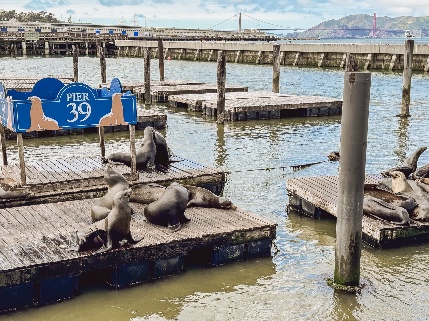 The Importance of Robben Island in South Africa’s History