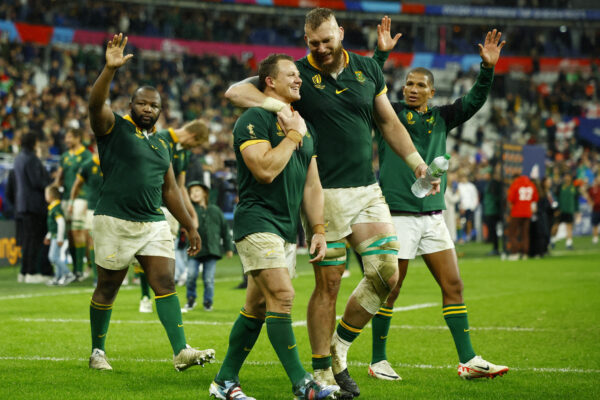 south africa springboks