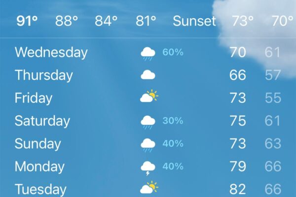 Today’s Weather Forecast: All You Need to Know