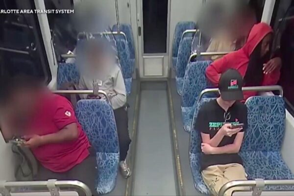 Ukrainian Girl Stabbed on Train: Public Safety Questions Arise