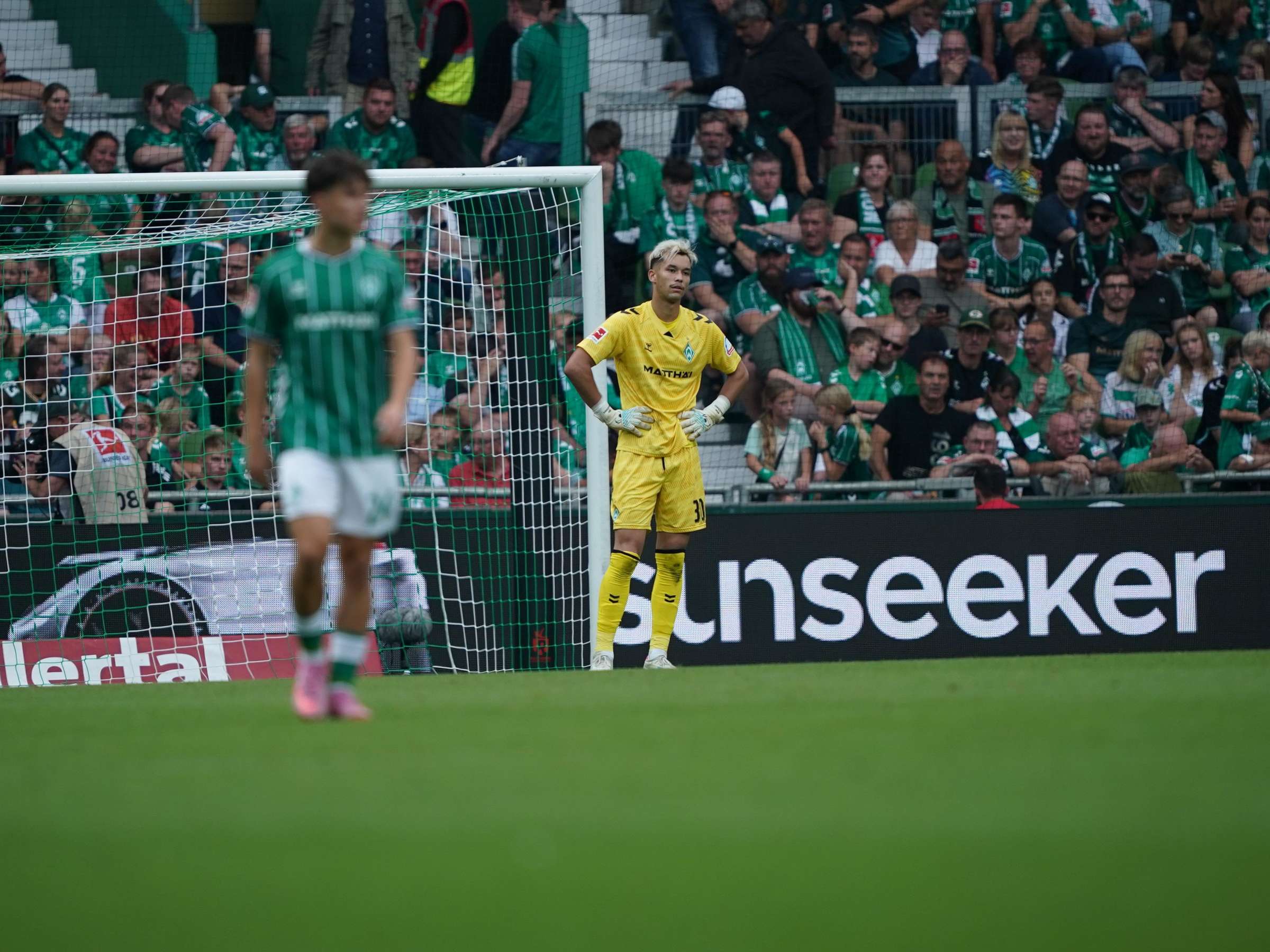 Werder Bremen vs Freiburg: A Crucial Bundesliga Clash