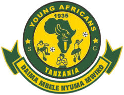 The Role of Young Africans in Shaping the Future image 1
