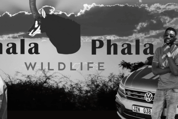 The 2020 Phala Phala Robbery: A Comprehensive Overview
