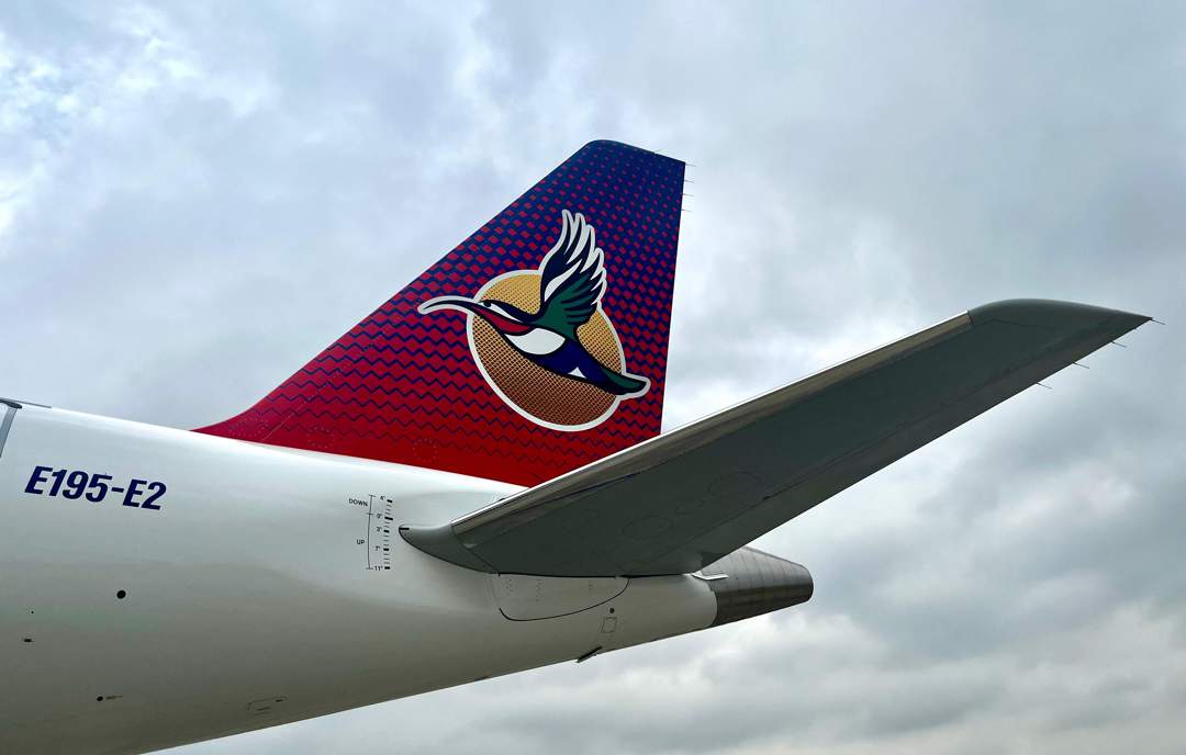 Airlink Flight Disruptions in South Africa: What You Need to Know