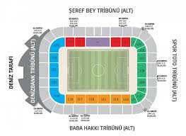 An In-Depth Look at Besiktas Football Club