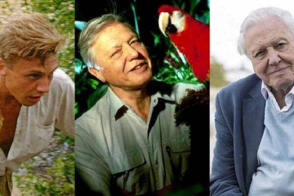 The Remarkable Journey of David Attenborough image 1