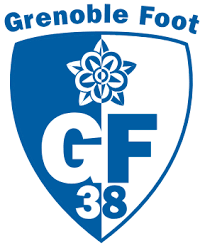 An Insight into France FC: The National Football Team
