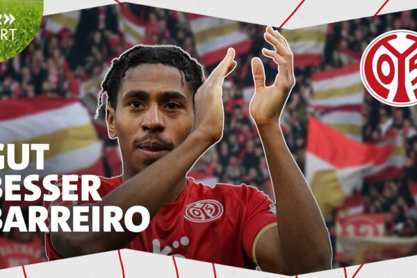 FSV Mainz: An Overview of Their Journey in Bundesliga