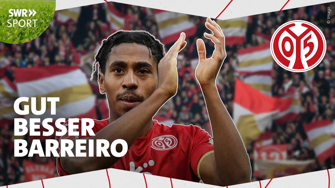 FSV Mainz: An Overview of Their Journey in Bundesliga