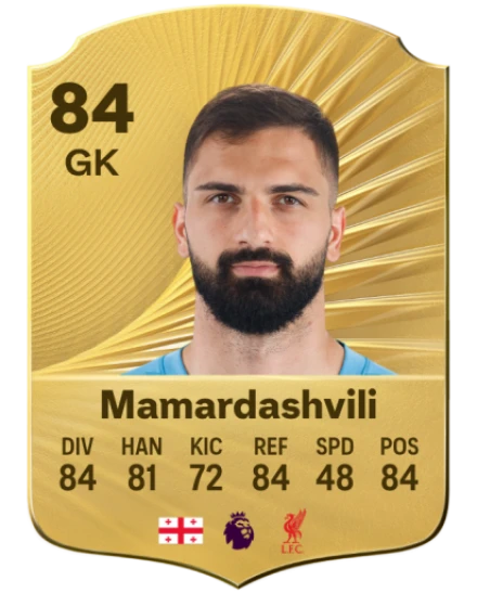 giorgi mamardashvili