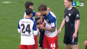hamburger sv vs wolfsburg