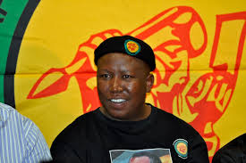The Political Landscape of Julius Malema in South Africa image 1