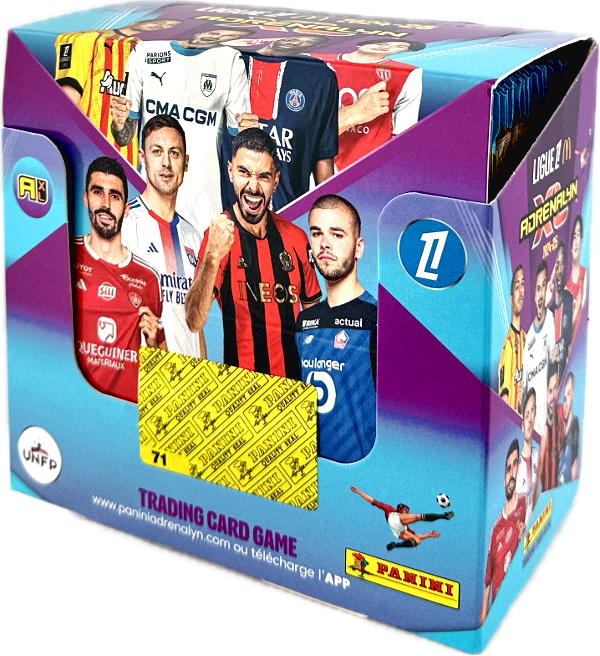 Understanding Ligue 1: France’s Premier Football League