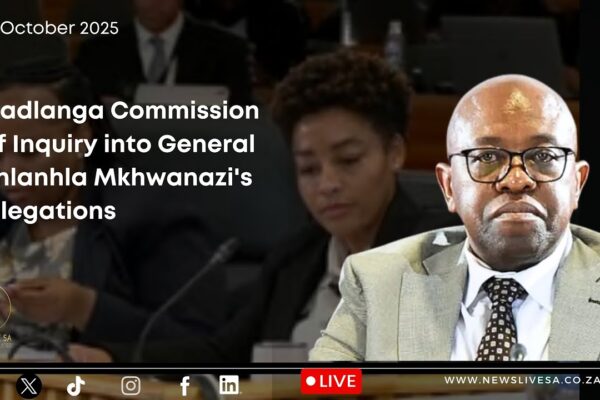 madlanga commission live