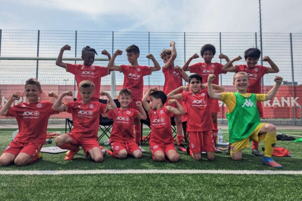 Understanding the Journey of Mainz FC in the Bundesliga image 1