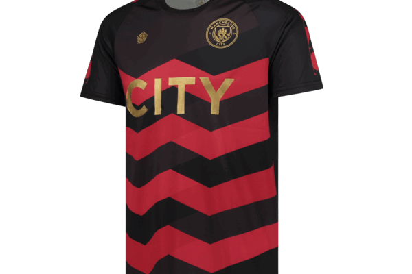 The Rise and Triumph of Manchester City FC image 1