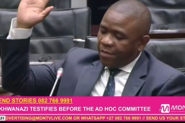 Mkhwanazi Ad Hoc Committee Testimony Highlights Key Issues image 1