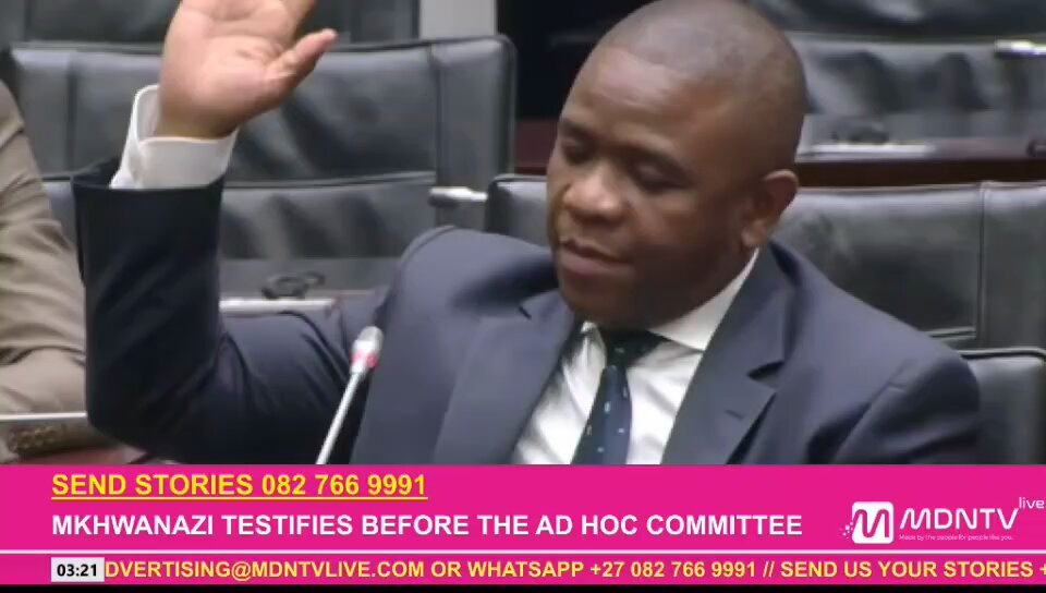 Mkhwanazi Ad Hoc Committee Testimony Highlights Key Issues image 1