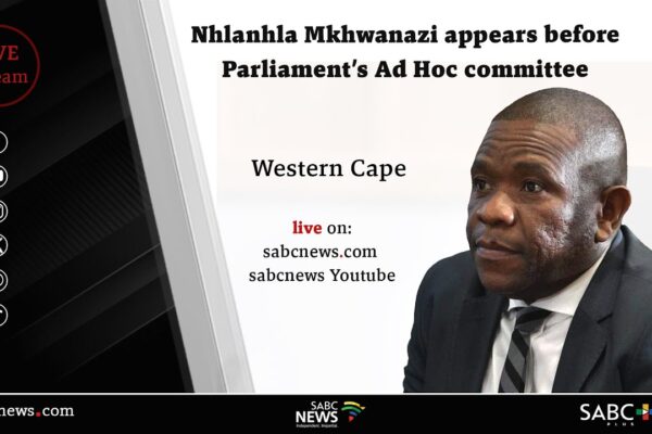 Understanding the Nhlanhla Mkhwanazi Ad Hoc Committee image 1