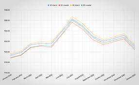 Understanding Recent Changes in Petrol Prices in South Africa image 1