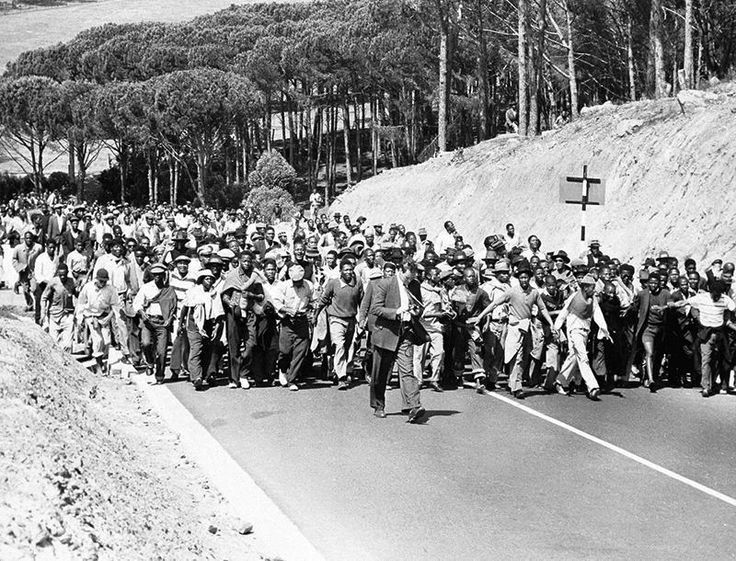 The Importance of Philip Kgosana Drive in Cape Town image 1