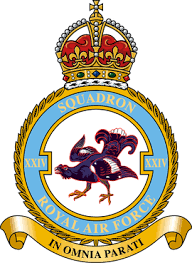 Understanding the Role and Impact of the RAF Today image 1
