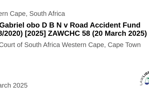 Understanding the Road Accident Fund in South Africa image 1
