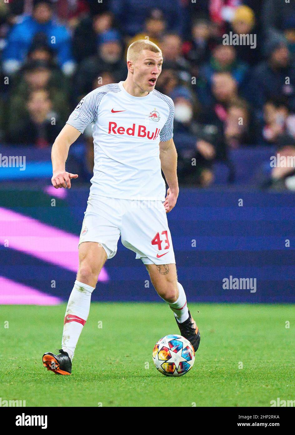 The Ascendance of Salzburg FC in Austrian Football image 1