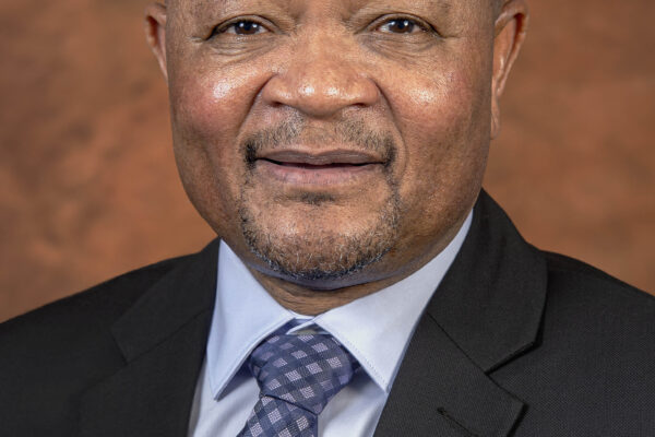 The Political Journey of Senzo Mchunu in South Africa image 1
