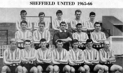 sheffield united