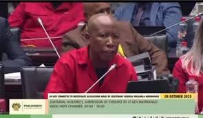 Exploring the Sibiya Parliamentary Inquiry Testimony image 1