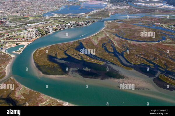 The Swartkops River: A Key Ecosystem in South Africa