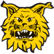 An Overview of Tampereen Ilves Ice Hockey Team image 1