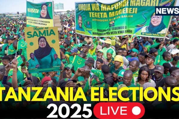 Understanding the Importance of Tanzania Elections 2024 image 1