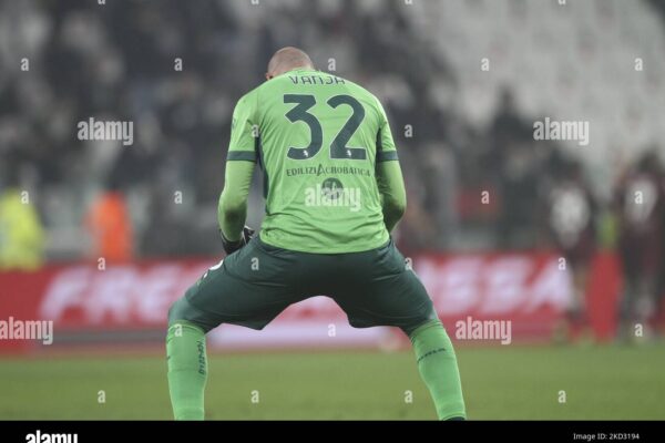 Exploring the Legacy and Future of Torino FC image 1