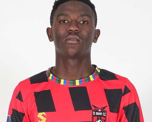 The Rise of TS Galaxy FC in South African Football image 1