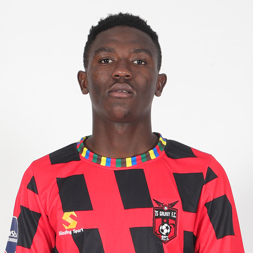 The Rise of TS Galaxy FC in South African Football image 1